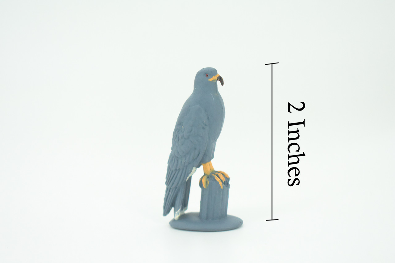 Snail Kite, Rostrhamus sociabilis, Snail-eating Hawk, Hand Painted, Educational, Rubber Bird, Realistic Figure, Lifelike, Gift,   2"    SF43 B15 