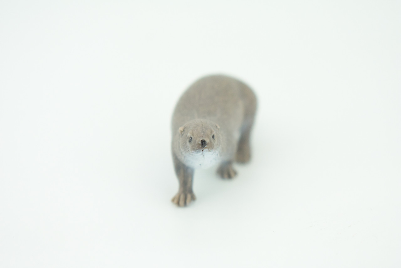 River Otter, Lontra canadensis, Hand Painted, Educational, Rubber Animal, Realistic Figure, Lifelike, Gift,    3 1/4"    SF45 B15 