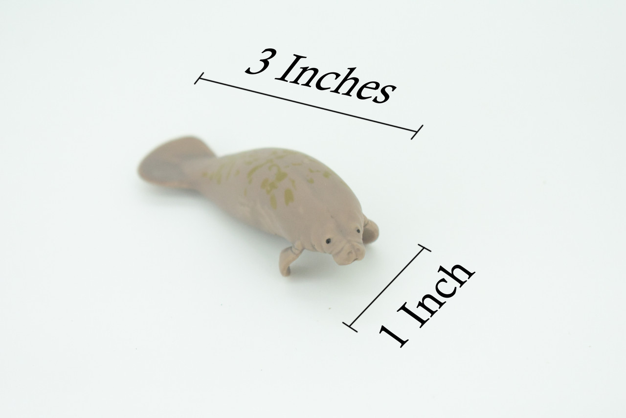 Manatee, Trichechus, Sea cow, Hand Painted, Educational, Rubber Animal, Realistic Figure, Lifelike, Gift,    3"    SF46 B15 