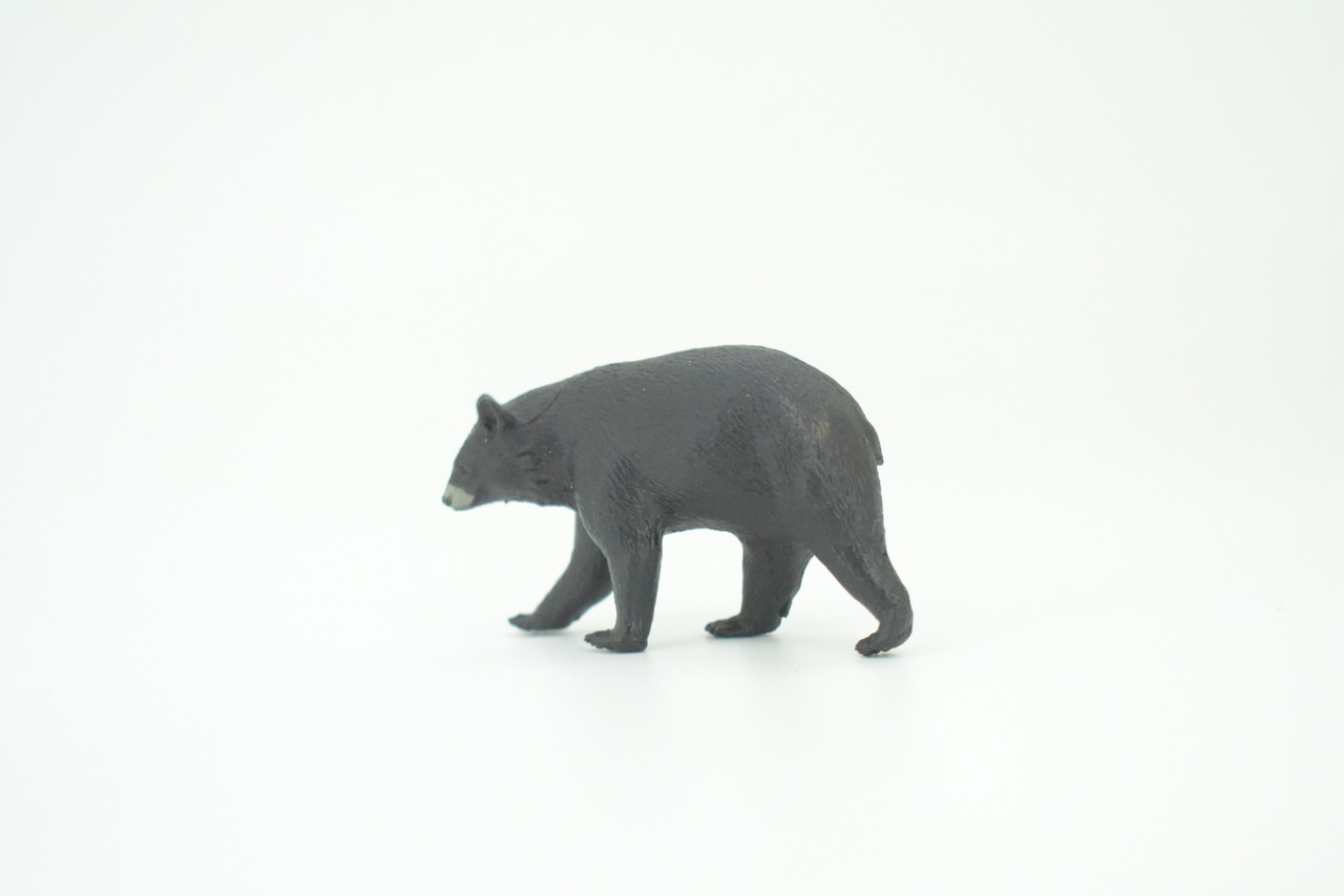 Black Bear, Ursus americanus, American Black Bear, Hand Painted, Educational, Rubber Animal, Realistic Figure, Lifelike, Gift,    2 1/2"    SF48 B15 