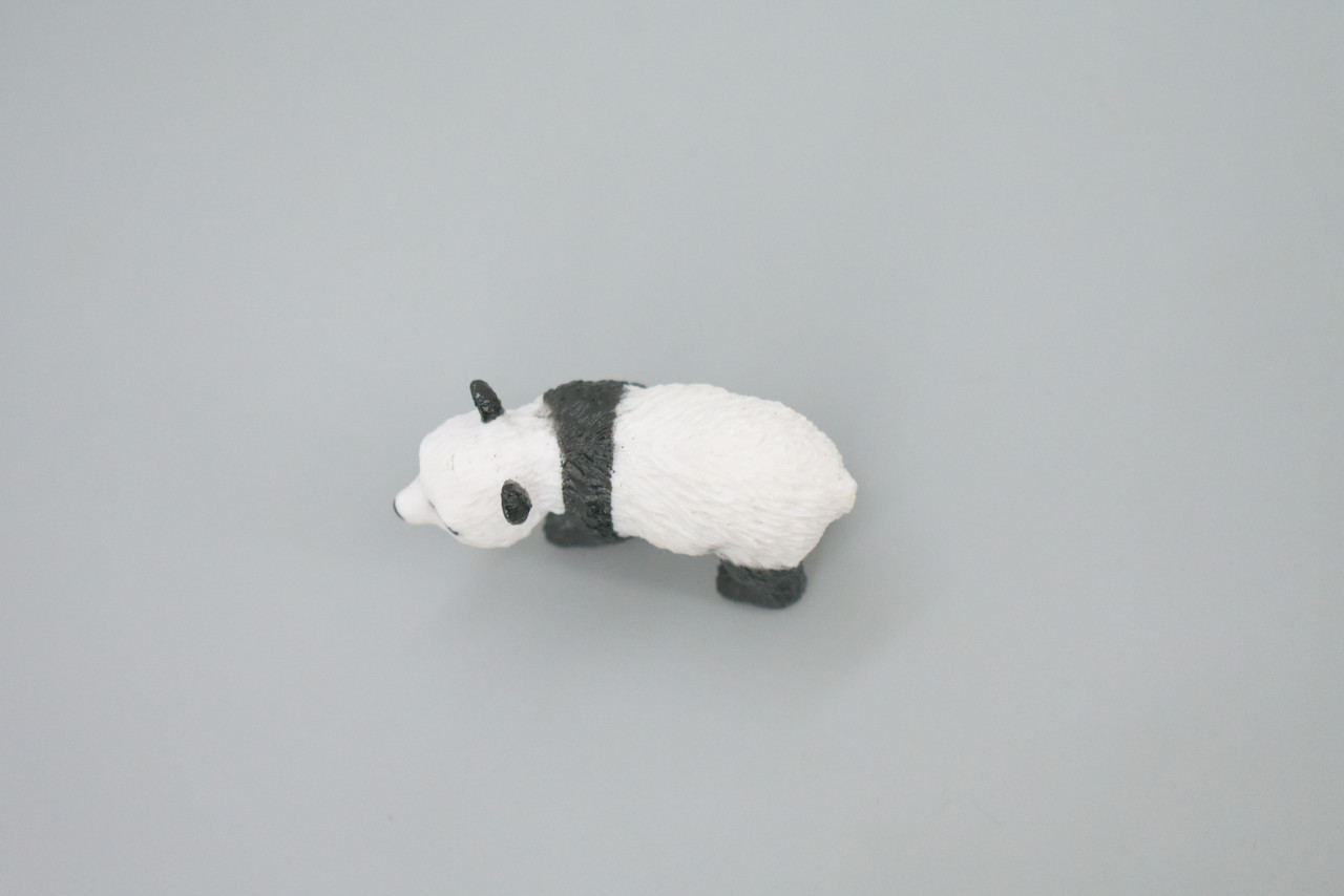 Panda, Ailuropoda melanoleuca, Panda bear, Hand Painted, Educational, Rubber Animal, Realistic Figure, Lifelike, Gift,    2 "    SF49 B58
