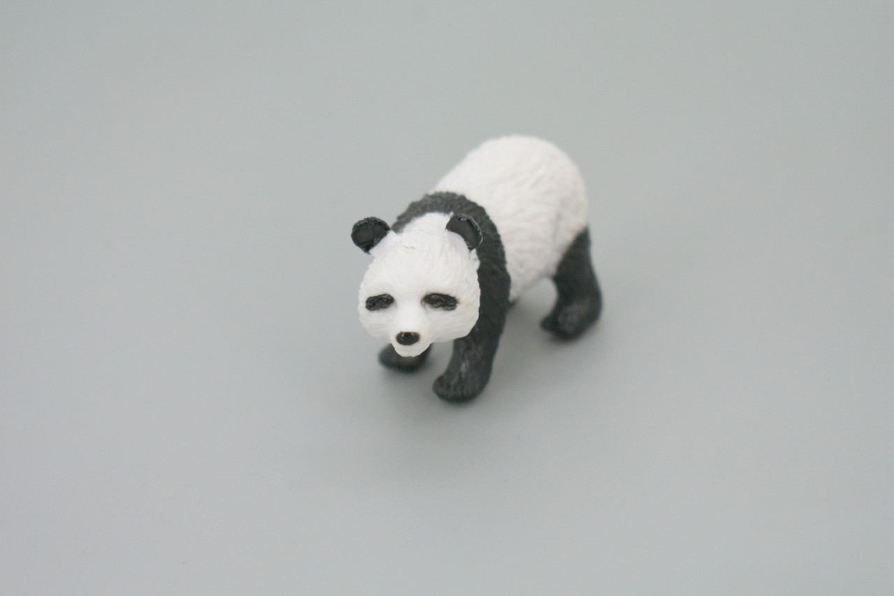 Panda, Ailuropoda melanoleuca, Panda bear, Hand Painted, Educational, Rubber Animal, Realistic Figure, Lifelike, Gift,    2 "    SF49 B58