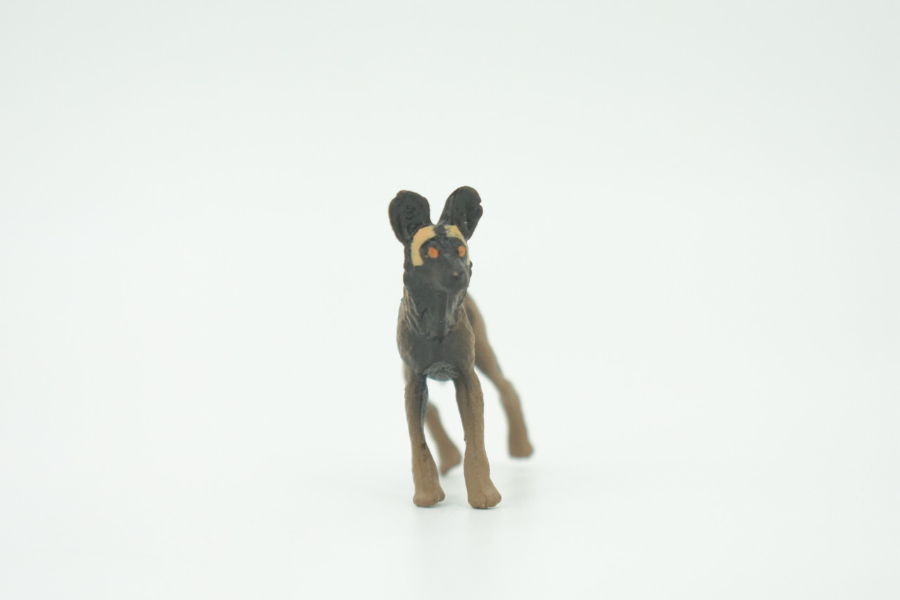 African Wild Dog, Painted Wolf, African Hunting Dog, Hand Painted, Educational, Rubber Animal, Realistic Figure, Lifelike, Gift,    2 "   SF52 B58