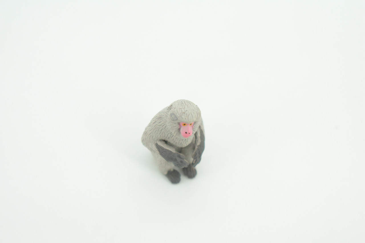 Japanese Macaque, Snow Monkey, Hand Painted, Educational, Rubber Primate, Realistic Figure, Lifelike, Gift,    1 1/2 "    SF59 B16 