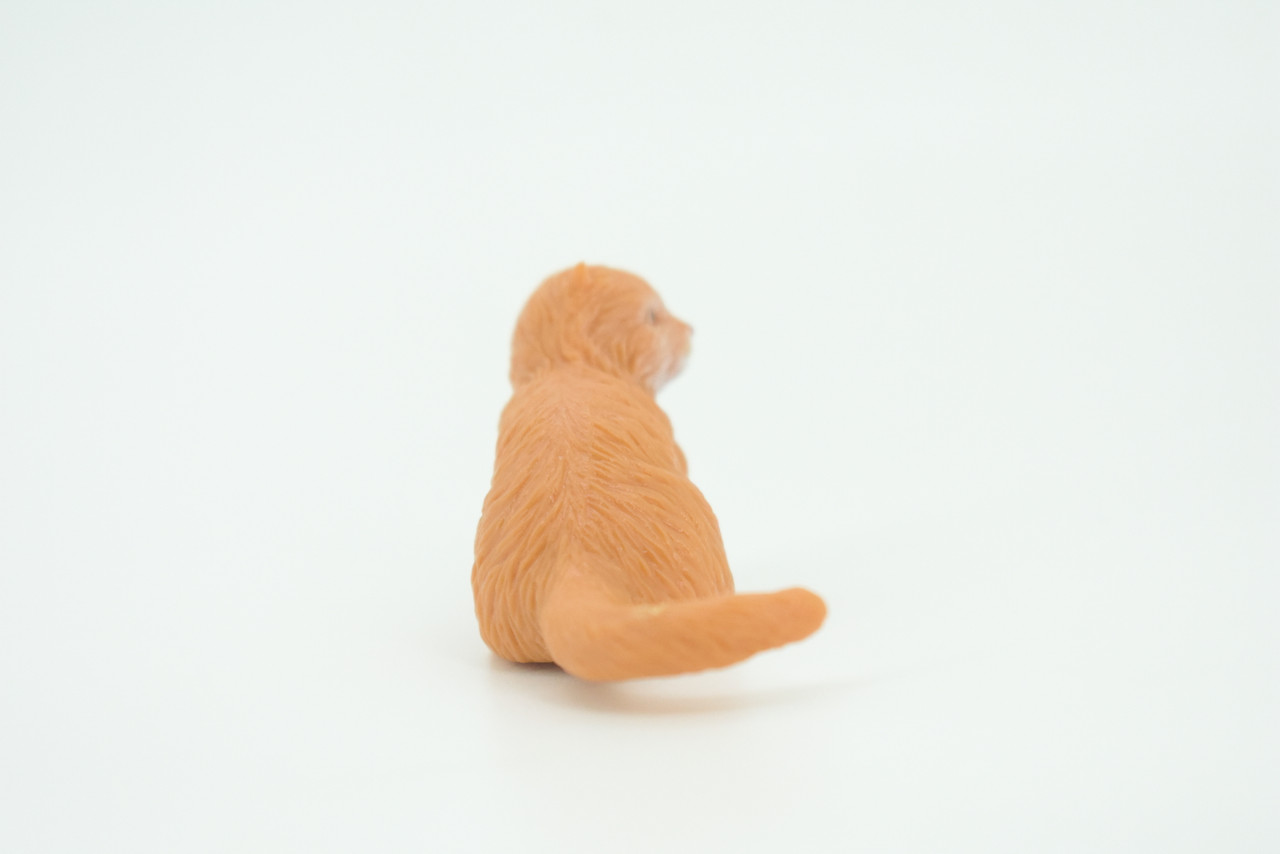 House Cat,  Orange Tabby, Marmalade Cat, Rubber, Hand Painted, Realistic, Figure, Model, Replica, Toy, Kids, Educational, Gift,    2"   SF70 B16