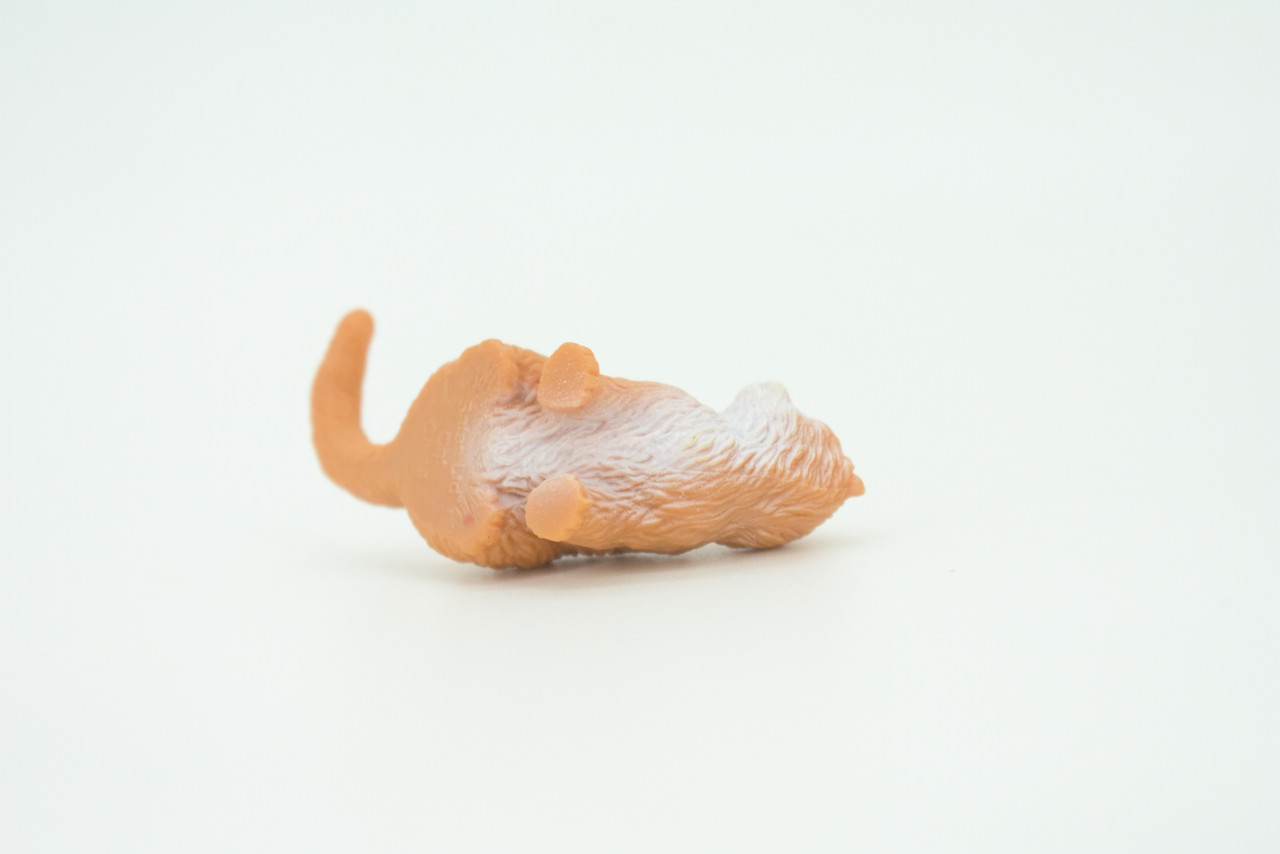 House Cat,  Orange Tabby, Marmalade Cat, Rubber, Hand Painted, Realistic, Figure, Model, Replica, Toy, Kids, Educational, Gift,    2"   SF70 B16