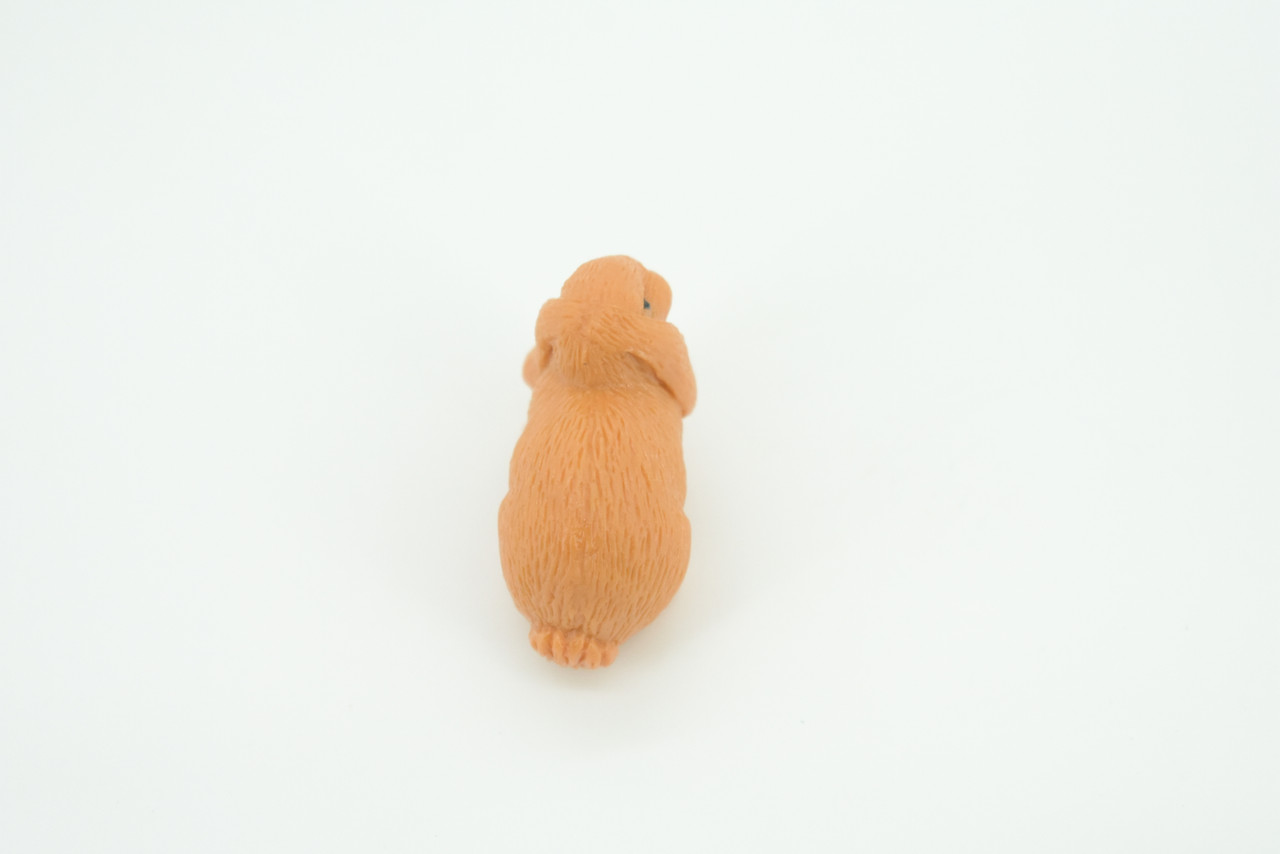 Lop Eared Rabbit, Very Nice Rubber Animal, Educational, Realistic Figure, Lifelike Model, Figurine, Replica, Gift,    1 1/2"    SF71 B16    