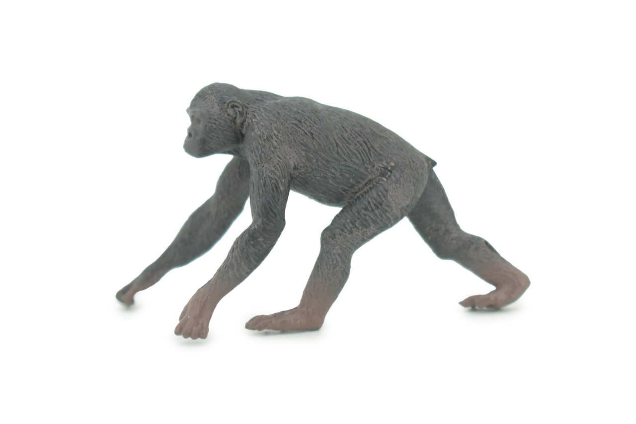 Chimpanzee, Pygmy Chimpanzee, Bonobo, Hand Painted, Educational, Rubber Primate, Realistic Figure, Lifelike, Gift,    2 1/2"    SF63 B16