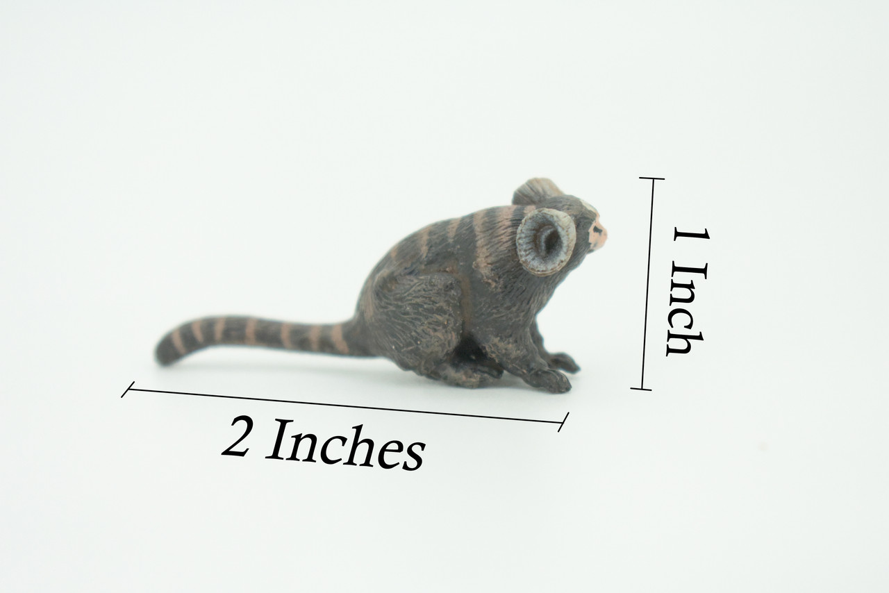 Common Marmoset, White-Tufted Marmoset, Hand Painted, Educational, Rubber Primate, Realistic Figure, Lifelike, Gift,    2"    SF64 B16
