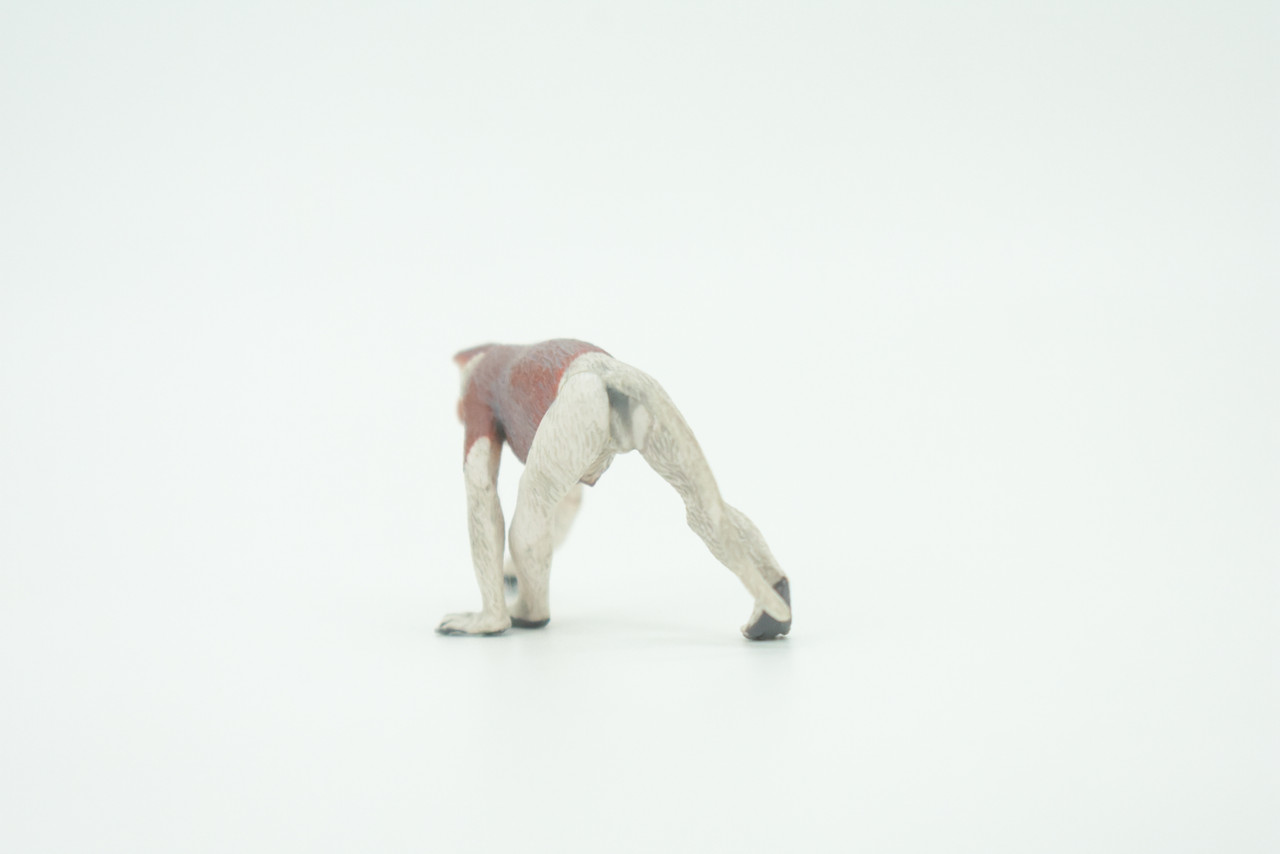 Proboscis Monkey, Long-Nosed Monkey, Hand Painted, Educational, Rubber Primate, Realistic Figure, Lifelike, Gift,   3"    SF66 B16