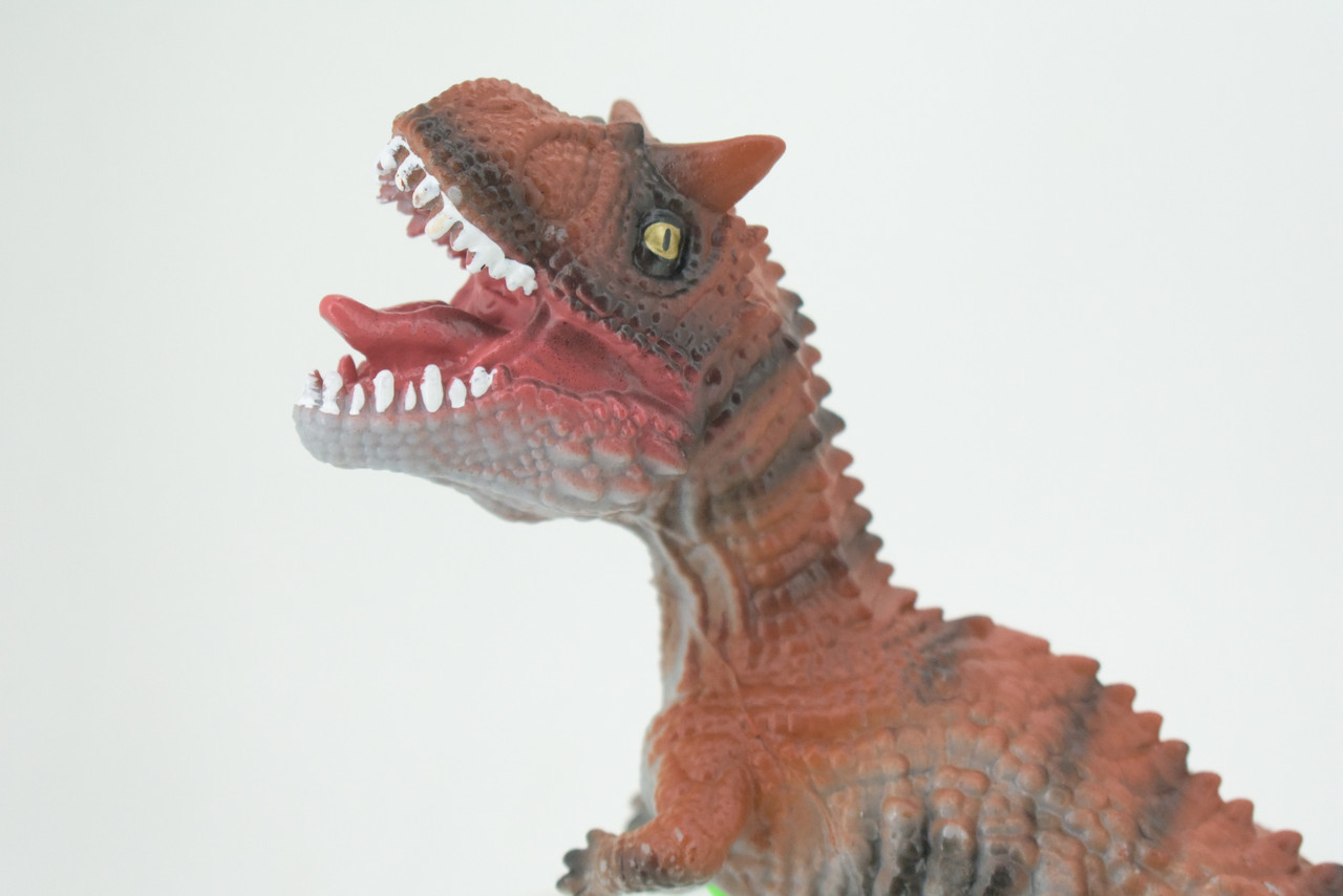 Carnotaurus, Horned Carnivore, Cretaceous Dinosaur, Hand Painted, Educational, Soft Rubber, Lifelike Model, Gift,    13"   AR11 B305 