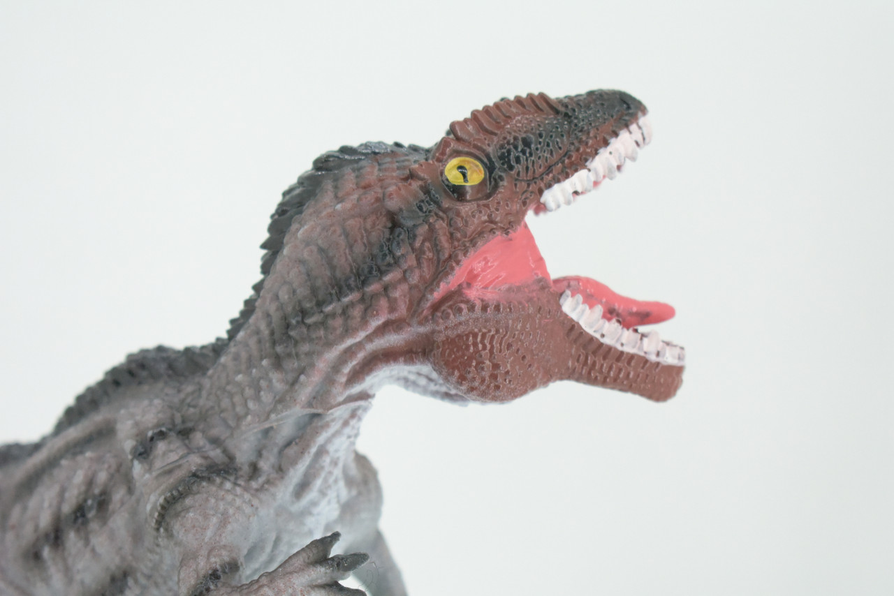 Tyrannosaurus Rex, T Rex, Cretaceous Dinosaur, Hand Painted, Educational, Soft Rubber, Lifelike Model, Figurine, Replica, Gift,    13"   AR07 B304 