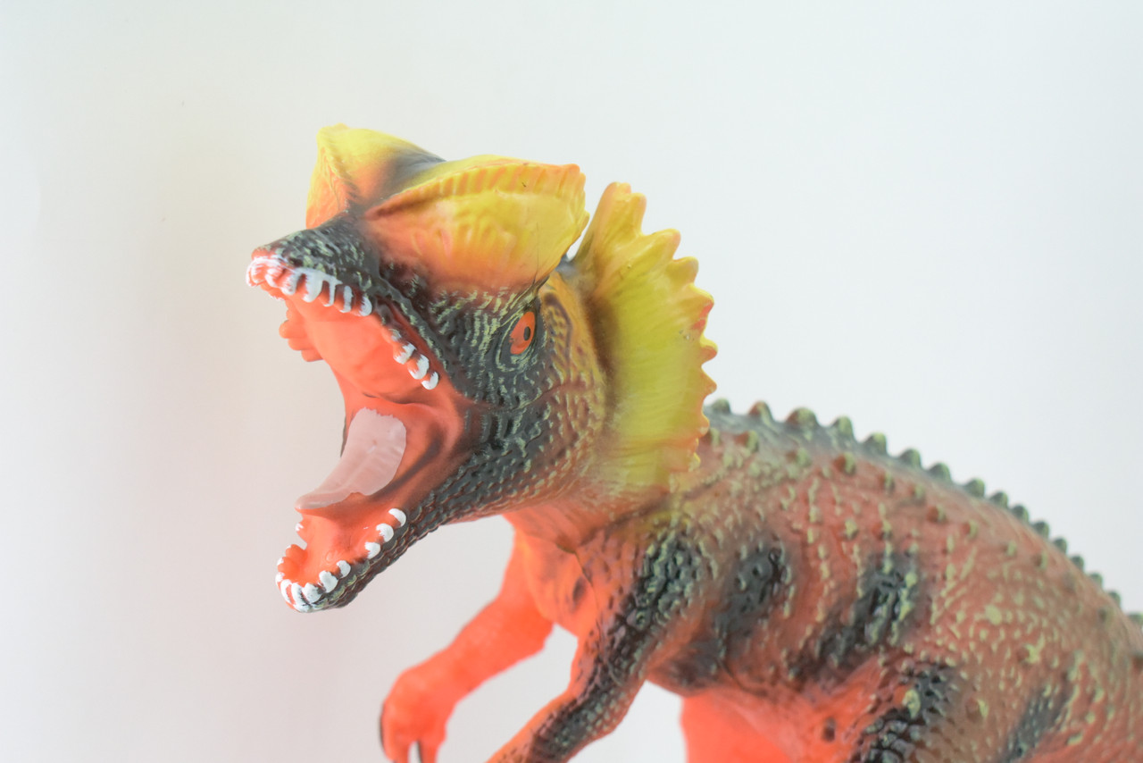 Dilophosaurus, Double-Crested Lizard, Early Jurassic period, Hand Painted, Educational, Soft Rubber, Lifelike Model, Gift,    19"   AR18 B310 