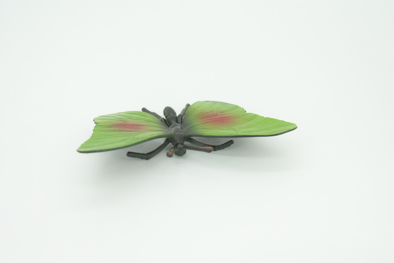 Butterfly, Green, Hand Painted, Rubber Insect, Educational, Toy, Kids, Realistic Figure, Lifelike Model, Replica, Gift,   5 1/2"    AR19 B329