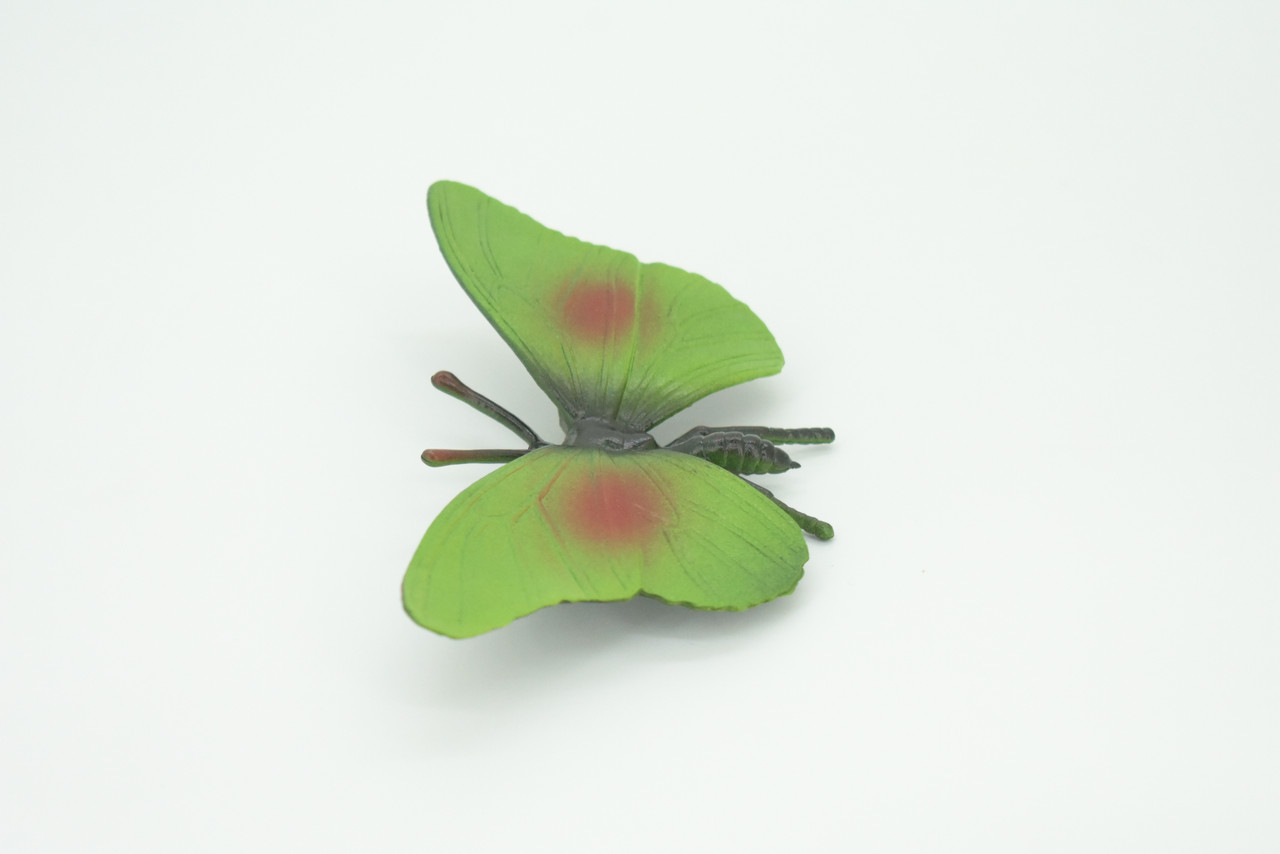 Butterfly, Green, Hand Painted, Rubber Insect, Educational, Toy, Kids, Realistic Figure, Lifelike Model, Replica, Gift,   5 1/2"    AR19 B329