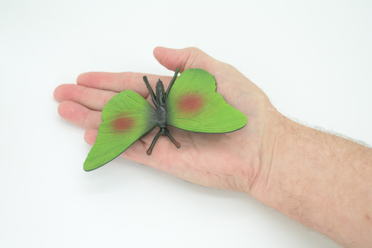 Butterfly, Green, Hand Painted, Rubber Insect, Educational, Toy, Kids, Realistic Figure, Lifelike Model, Replica,  5 1/2 Inches.