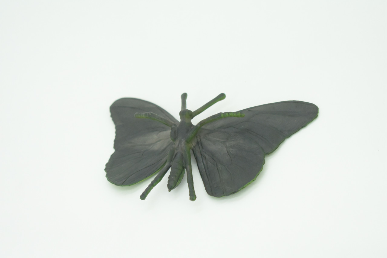 Butterfly, Green, Hand Painted, Rubber Insect, Educational, Toy, Kids, Realistic Figure, Lifelike Model, Replica, Gift,   5 1/2"    AR19 B329