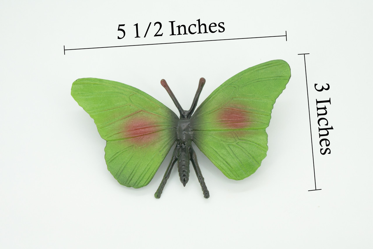 Butterfly, Green, Hand Painted, Rubber Insect, Educational, Toy, Kids, Realistic Figure, Lifelike Model, Replica,  5 1/2 Inches.