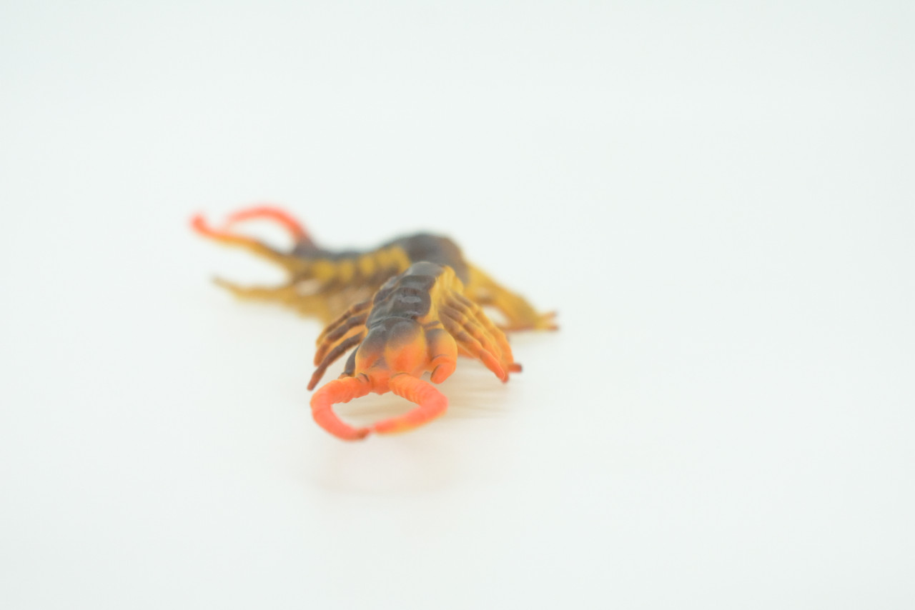 Centipede, Brown, Predatory arthropods, Hand Painted, Rubber Insect, Educational, Realistic Figure, Lifelike Model, Gift,    7"    AR20 B329