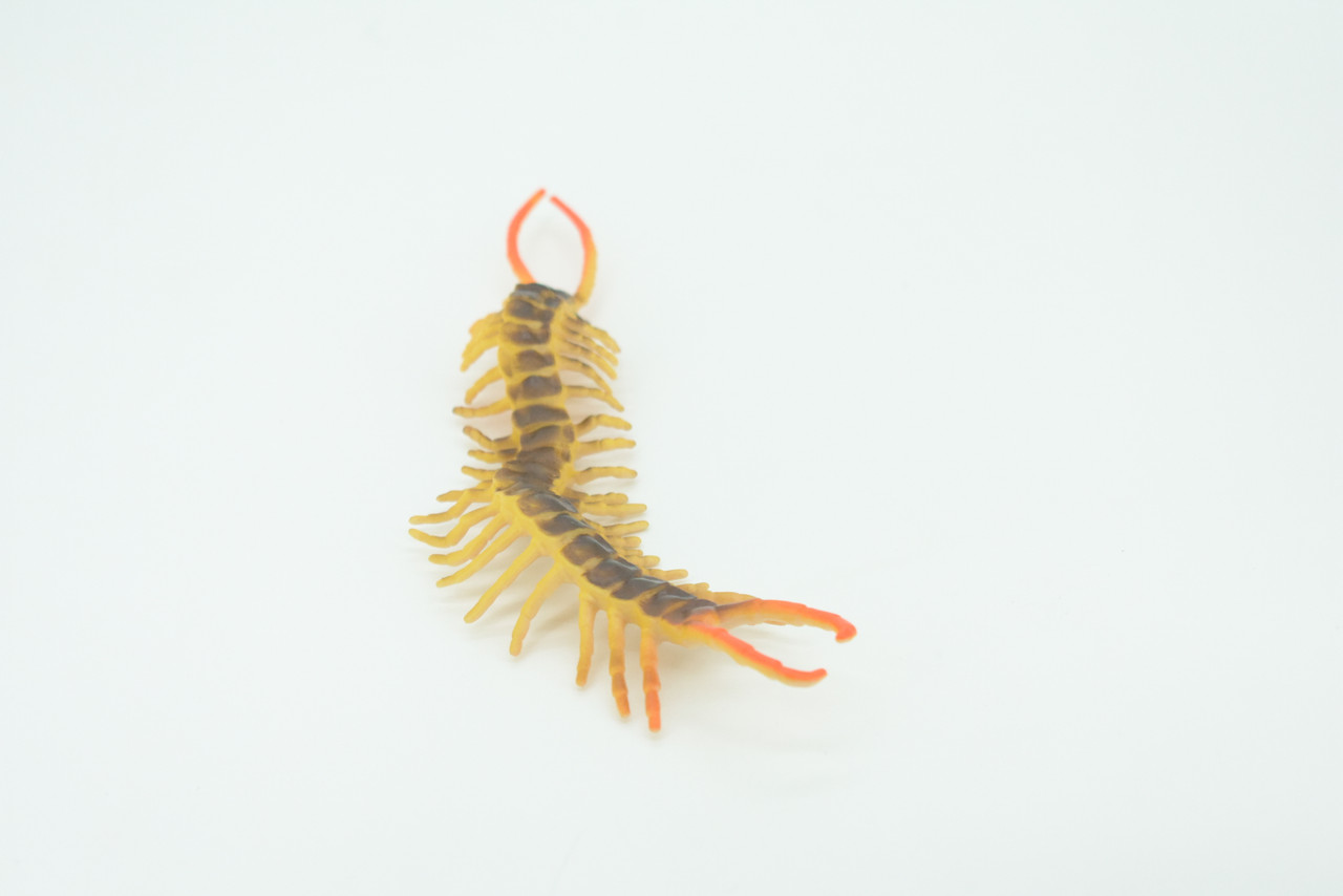 Centipede, Brown, Predatory arthropods, Hand Painted, Rubber Insect, Educational, Realistic Figure, Lifelike Model, Gift,    7"    AR20 B329