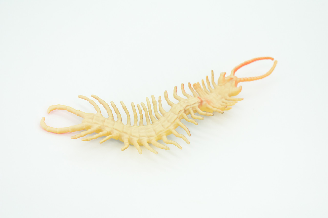 Centipede, Brown, Predatory arthropods, Hand Painted, Rubber Insect, Educational, Realistic Figure, Lifelike Model, Gift,    7"    AR20 B329