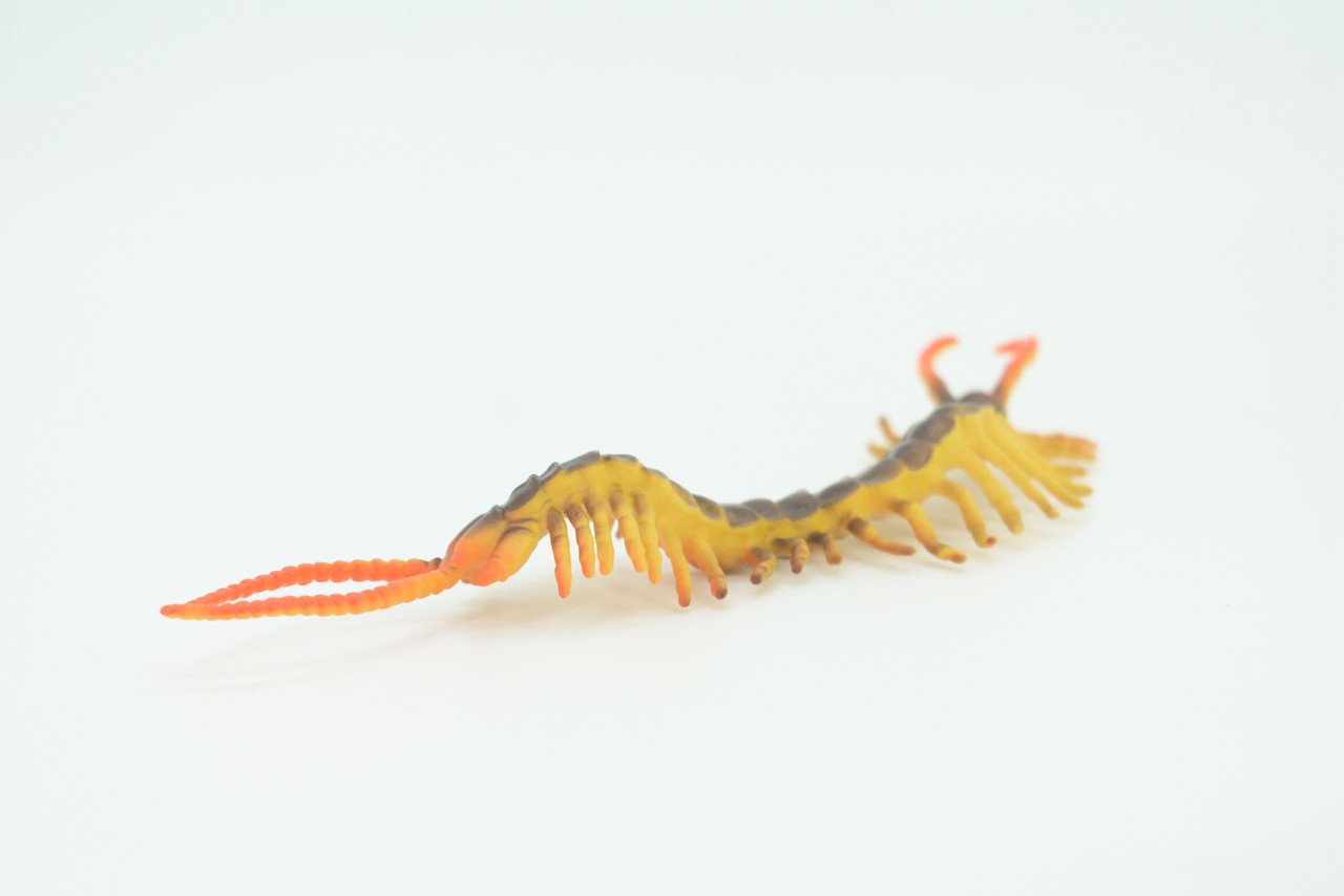 Centipede, Brown, Predatory arthropods, Hand Painted, Rubber Insect, Educational, Realistic Figure, Lifelike Model, Gift,    7"    AR20 B329