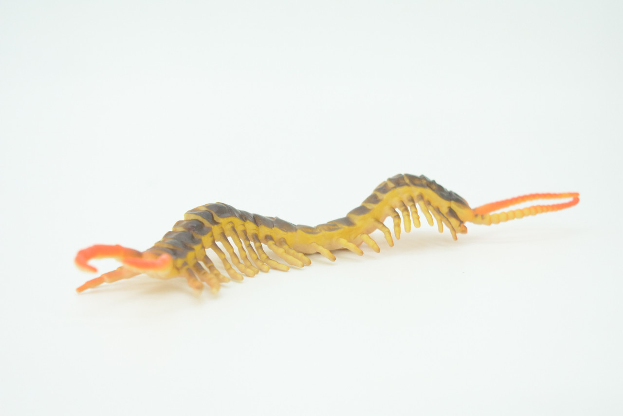 Centipede, Brown, Predatory arthropods, Hand Painted, Rubber Insect, Educational, Realistic Figure, Lifelike Model, Gift,    7"    AR20 B329