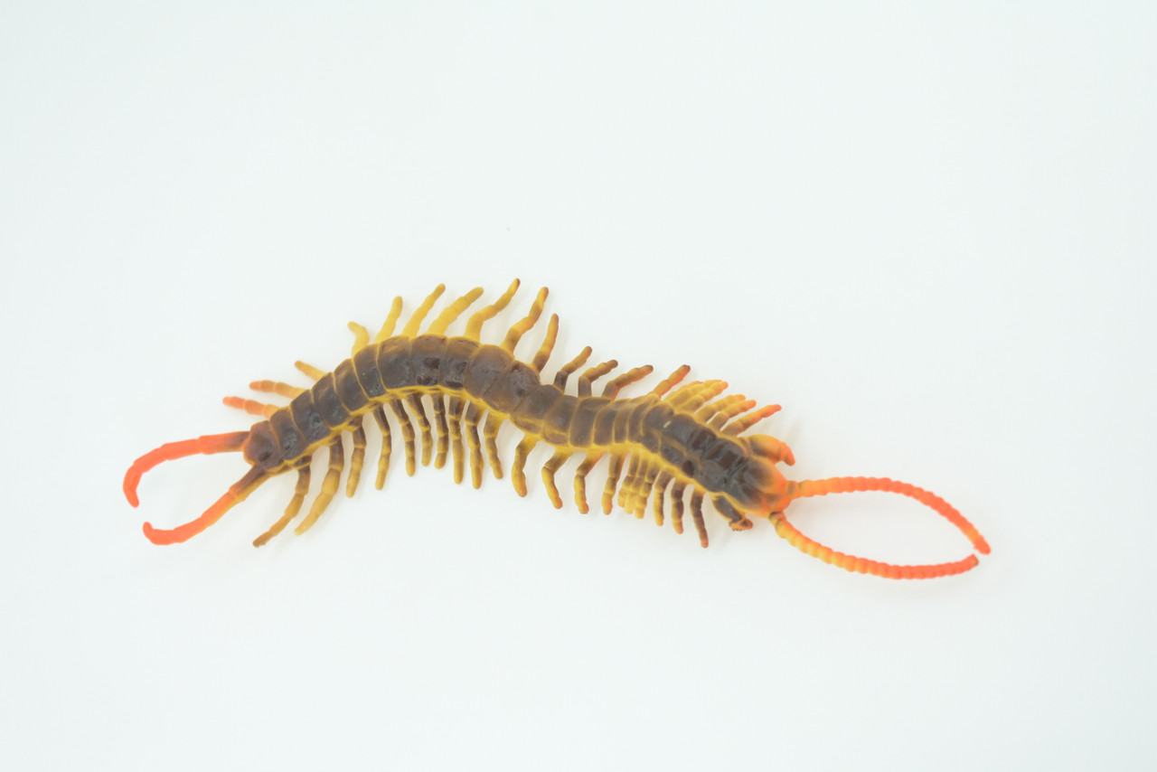 Centipede, Brown, Predatory arthropods, Hand Painted, Rubber Insect, Educational, Realistic Figure, Lifelike Model, 7 Inches Long.