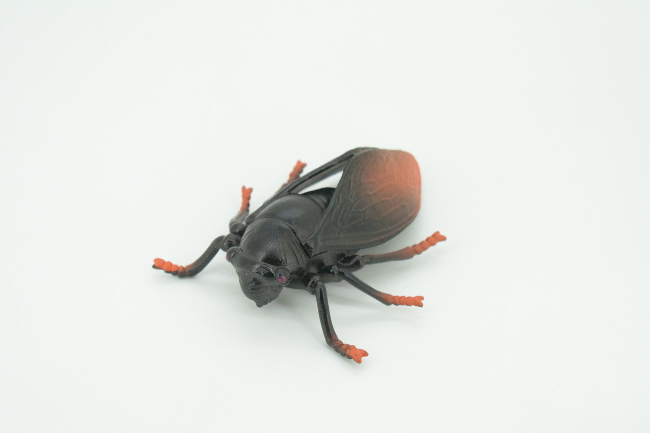Cicada, Cicadidae, Hand Painted, Rubber Insect, Educational, Realistic Figure, Lifelike Model, Gift,   4"    AR21 B329