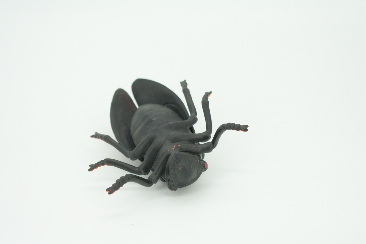 Cicada, Cicadidae, Hand Painted, Rubber Insect, Educational, Realistic Figure, Lifelike Model, Gift,   4"    AR21 B329