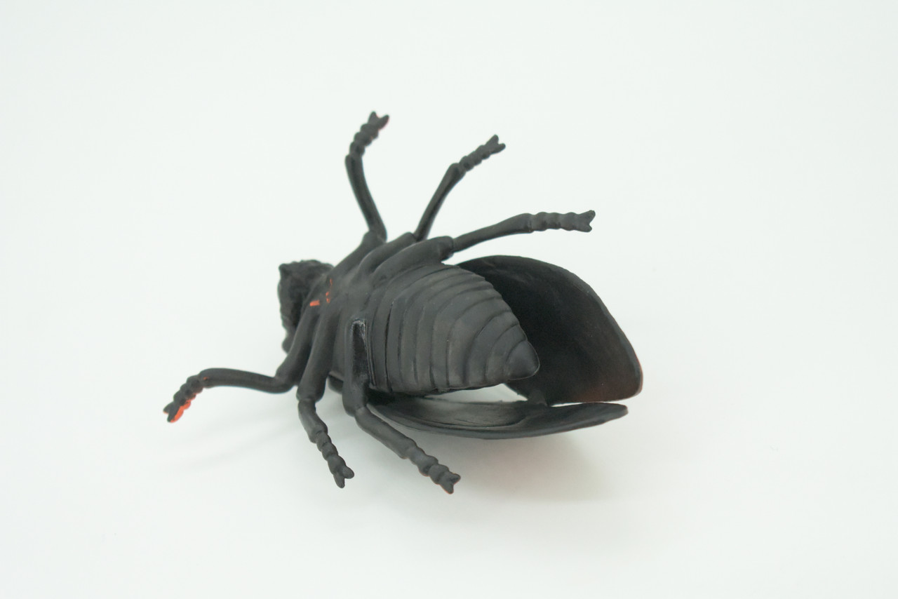 Cicada, Cicadidae, Hand Painted, Rubber Insect, Educational, Realistic Figure, Lifelike Model, Gift,   4"    AR21 B329