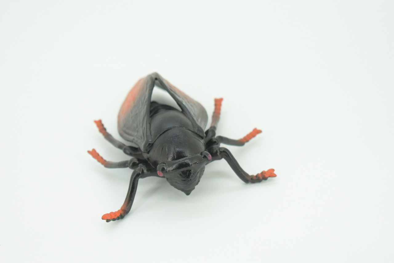 Cicada, Cicadidae, Hand Painted, Rubber Insect, Educational, Realistic Figure, Lifelike Model, Gift,   4"    AR21 B329