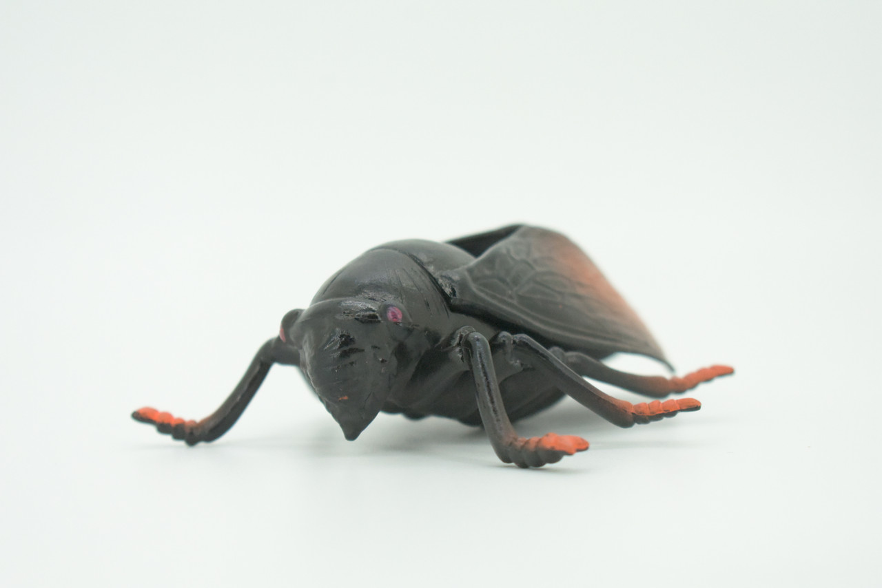 Cicada, Cicadidae, Hand Painted, Rubber Insect, Educational, Realistic Figure, Lifelike Model, Gift,   4"    AR21 B329