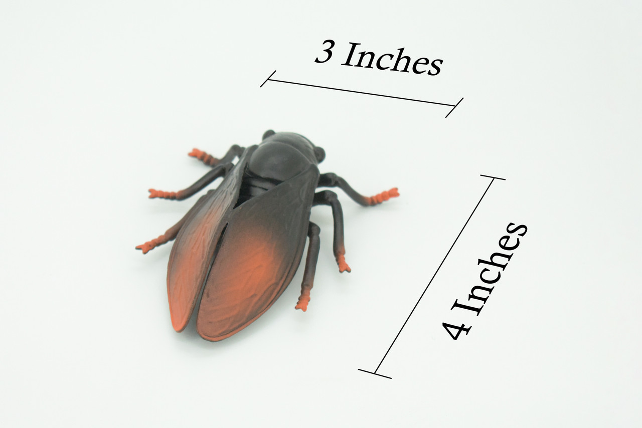 Cicada, Cicadidae, Hand Painted, Rubber Insect, Educational, Realistic Figure, Lifelike Model,  4 Inches Long, 3 Inches Wide.