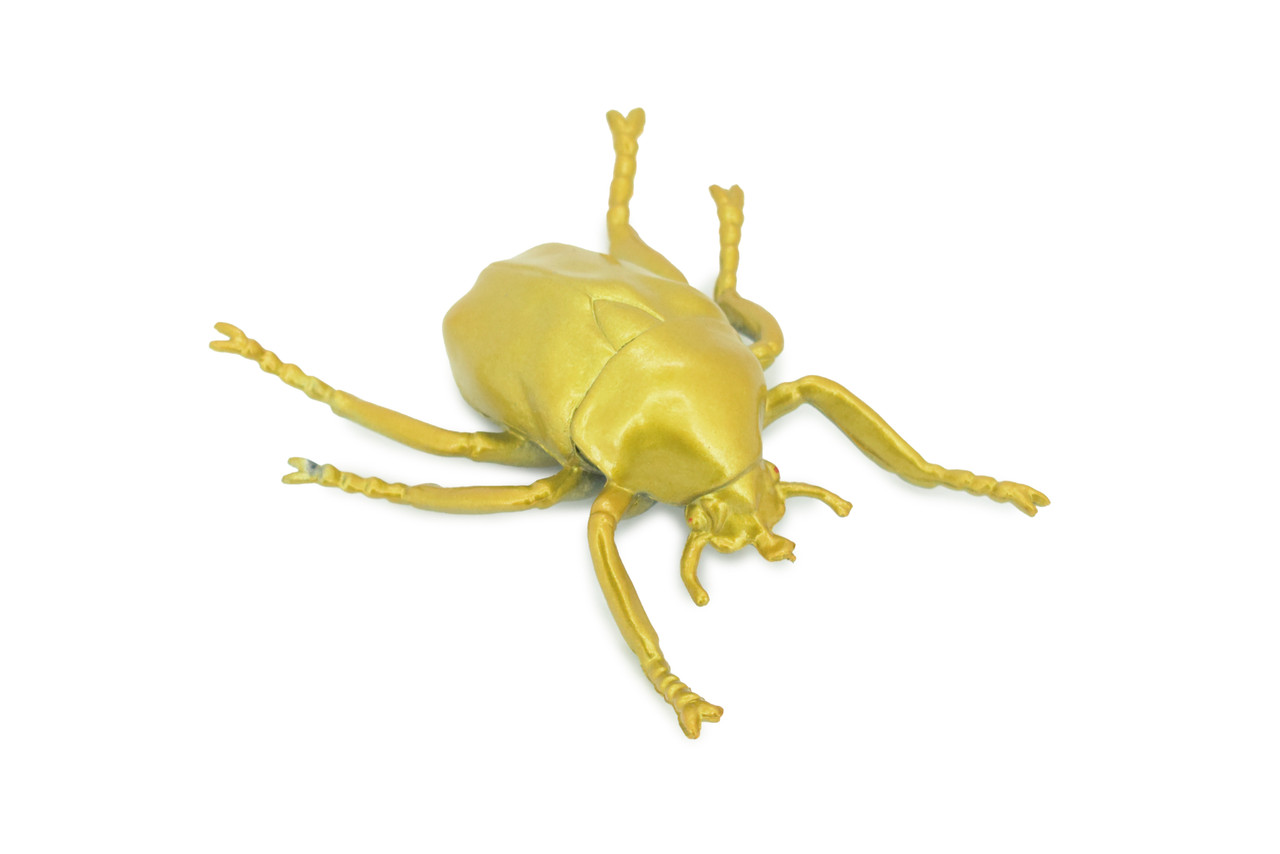 Gold Beetle, Resplendent Beetle, Hand Painted, Rubber Insect, Educational, Realistic Figure, Lifelike Model,  4 1/2 Inches Long.