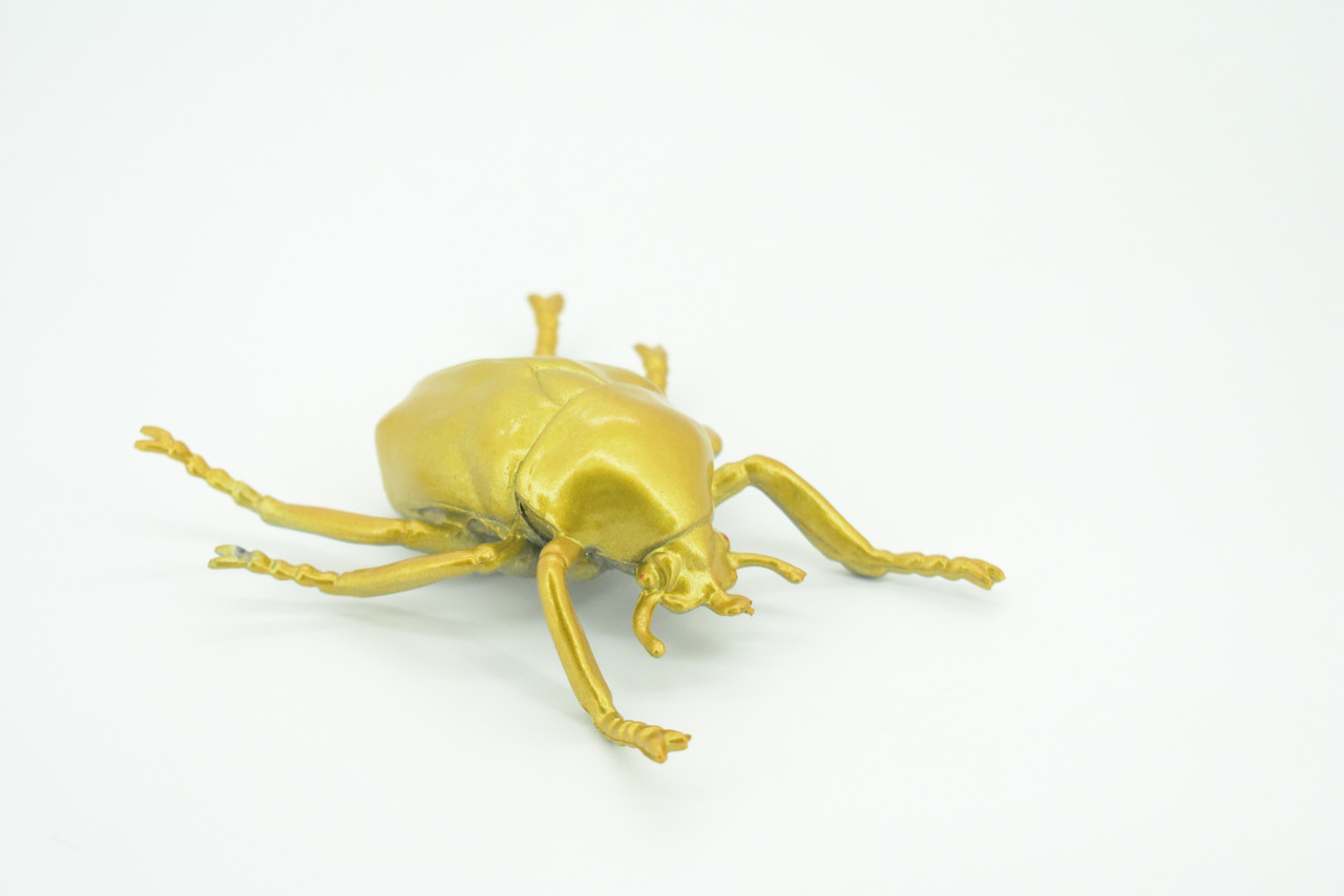 Gold Beetle, Resplendent Beetle, Hand Painted, Rubber Insect, Educational, Realistic Figure, Lifelike Model, Gift,   4 1/2"    AR22 B329