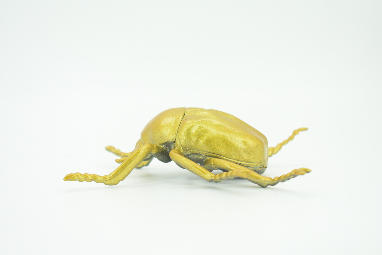 Gold Beetle, Resplendent Beetle, Hand Painted, Rubber Insect, Educational, Realistic Figure, Lifelike Model, Gift,   4 1/2"    AR22 B329