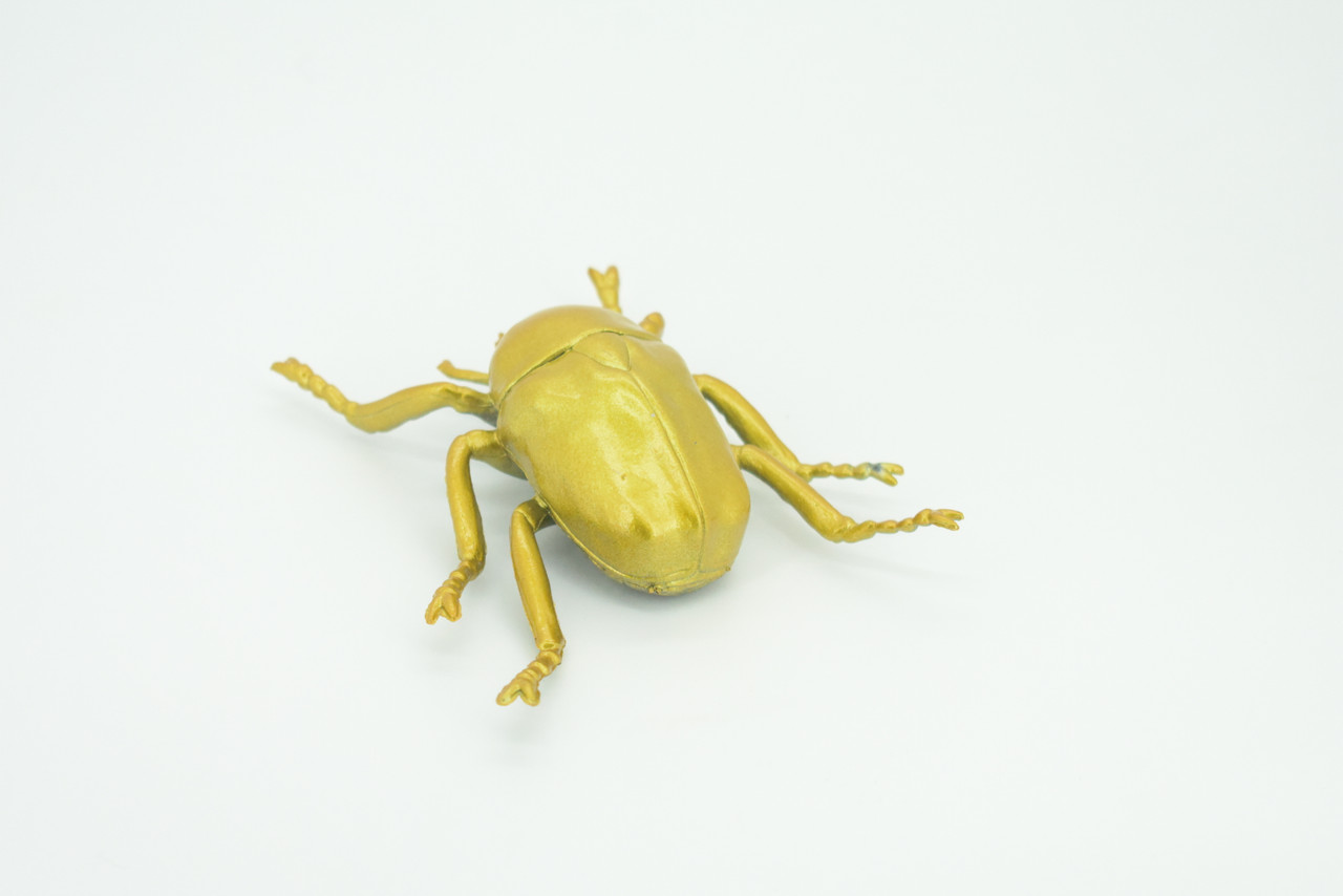 Gold Beetle, Resplendent Beetle, Hand Painted, Rubber Insect, Educational, Realistic Figure, Lifelike Model, Gift,   4 1/2"    AR22 B329