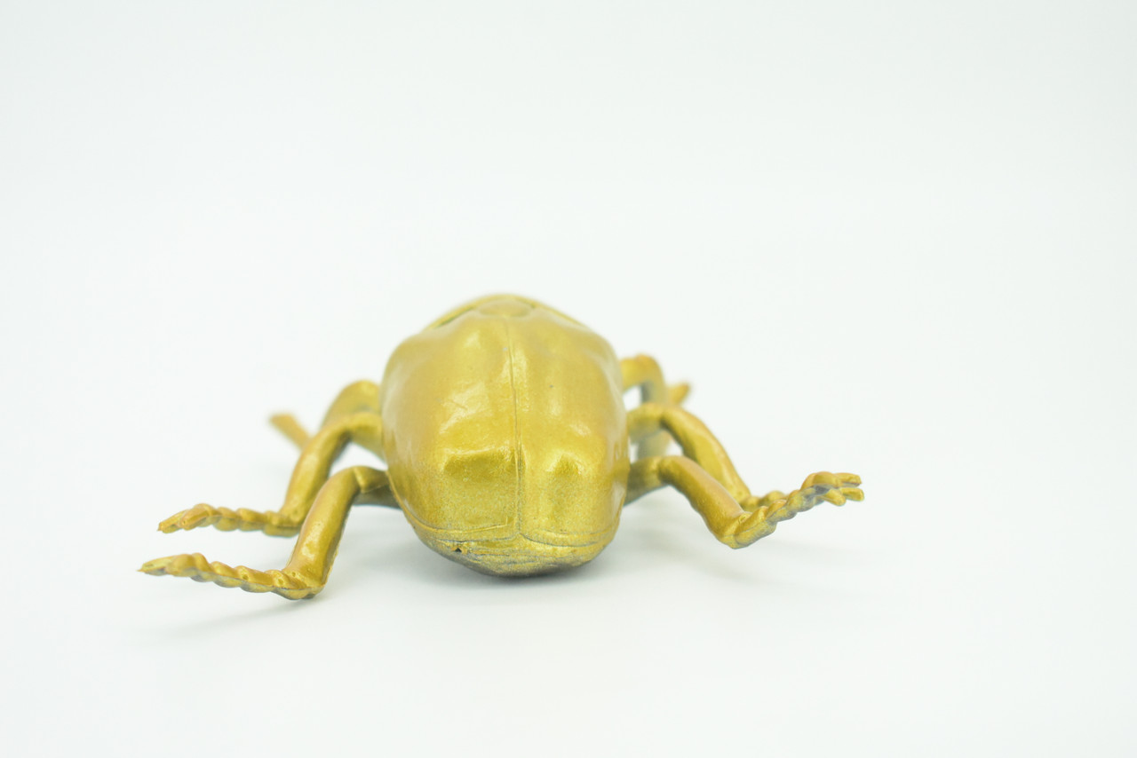 Gold Beetle, Resplendent Beetle, Hand Painted, Rubber Insect, Educational, Realistic Figure, Lifelike Model, Gift,   4 1/2"    AR22 B329