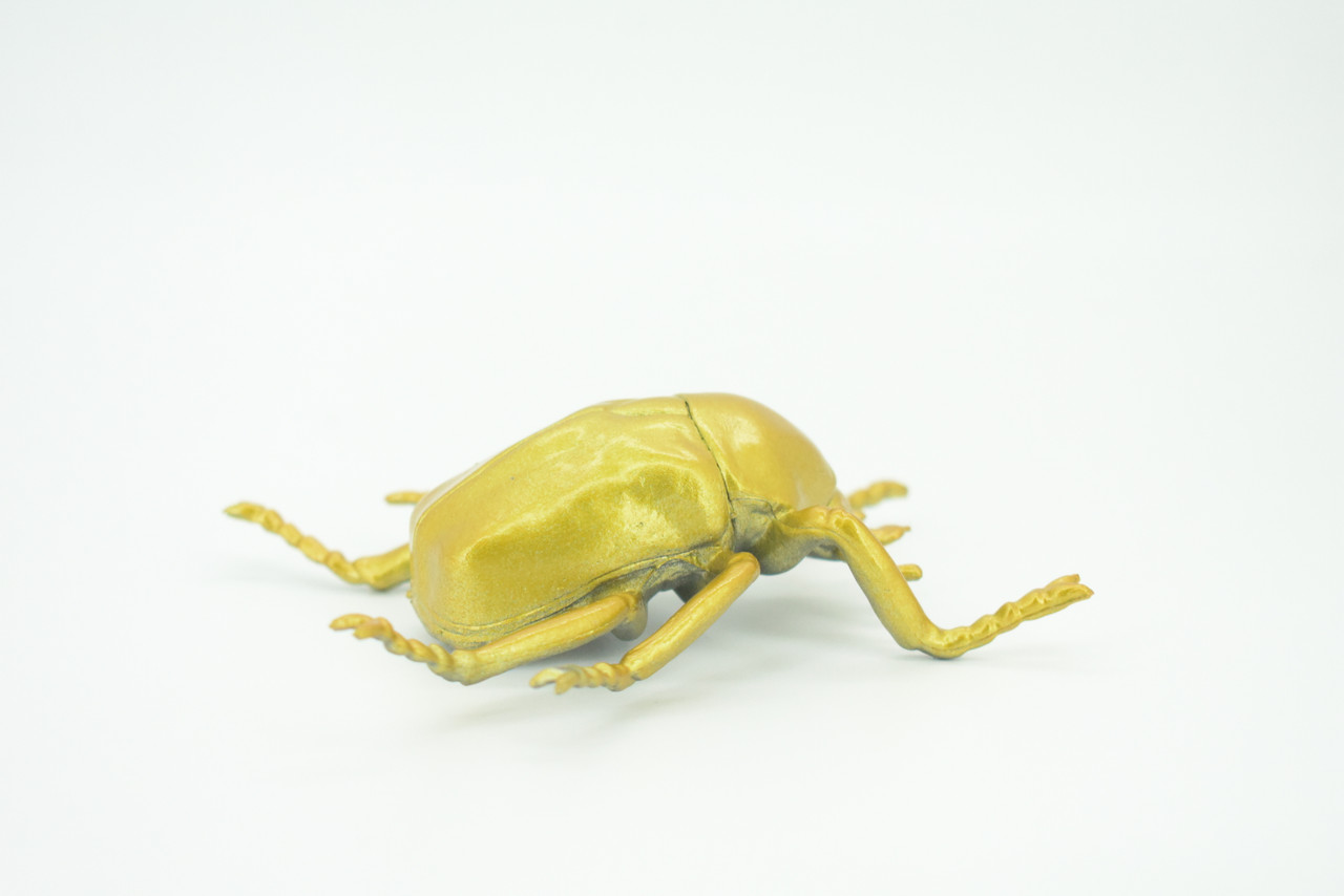 Gold Beetle, Resplendent Beetle, Hand Painted, Rubber Insect, Educational, Realistic Figure, Lifelike Model, Gift,   4 1/2"    AR22 B329