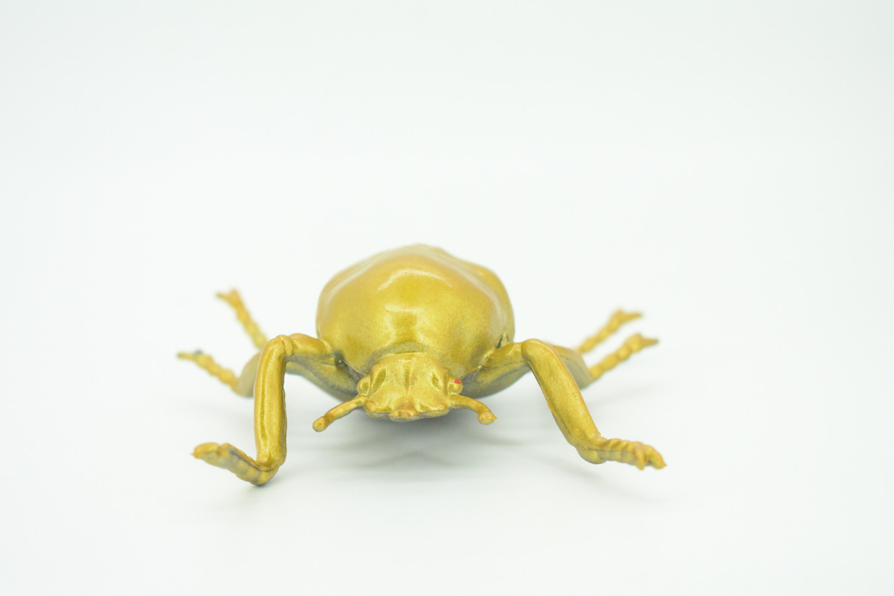 Gold Beetle, Resplendent Beetle, Hand Painted, Rubber Insect, Educational, Realistic Figure, Lifelike Model, Gift,   4 1/2"    AR22 B329