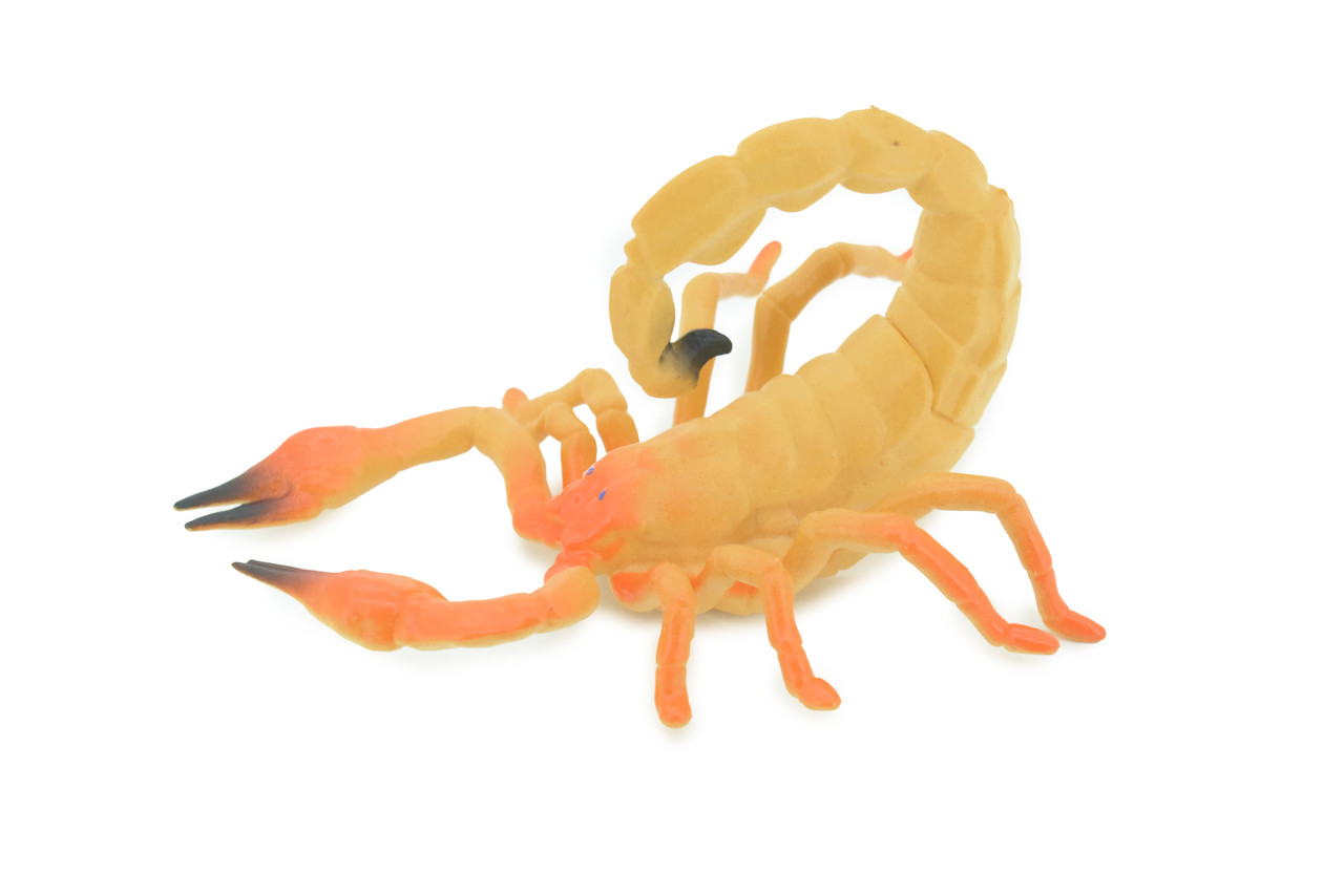 Scorpion, Scorpios, Hand Painted, Rubber arachnid, Educational, Realistic Figure, Lifelike Model,  5 Inches Long, 3 inches Tall.