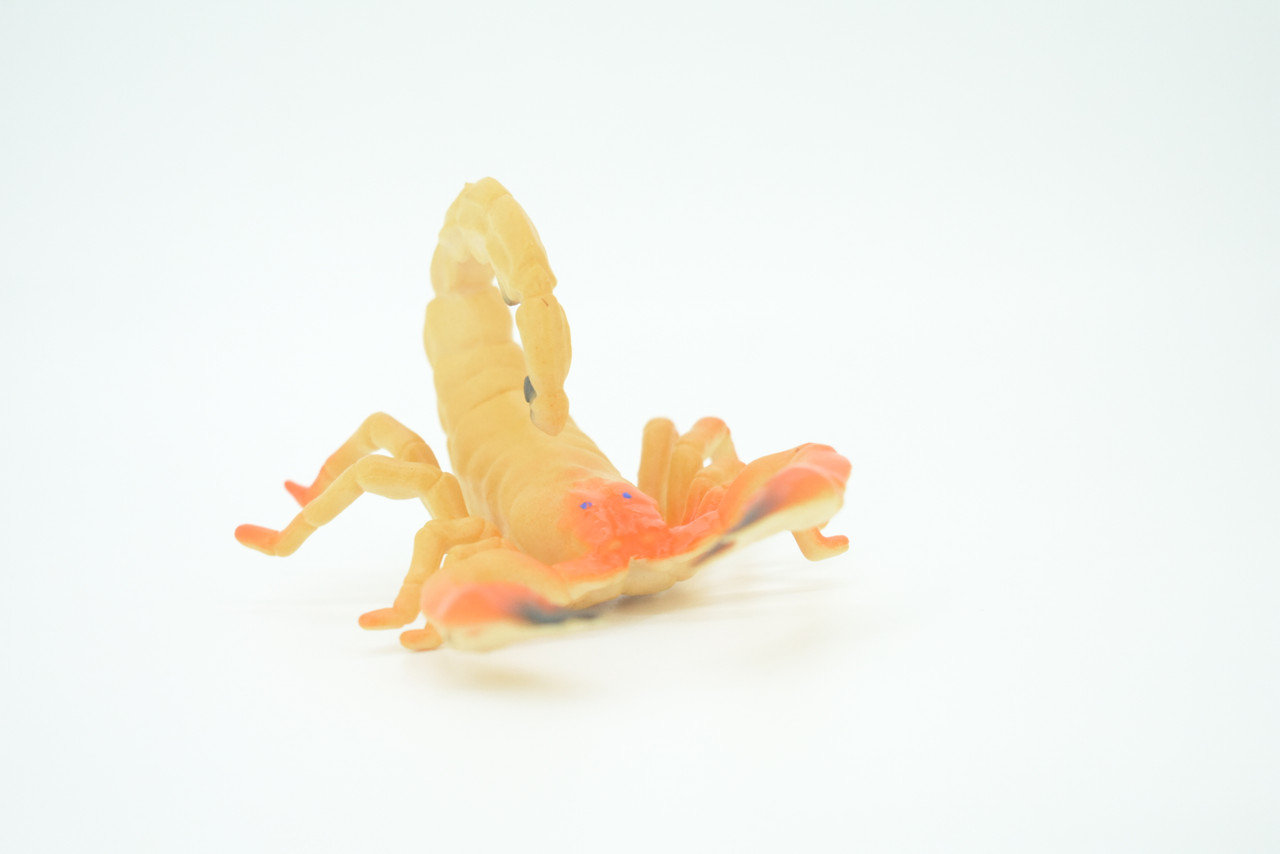 Scorpion, Scorpios, Hand Painted, Rubber arachnid, Educational, Realistic Figure, Lifelike Model, Gift,   5"    AR23 B329