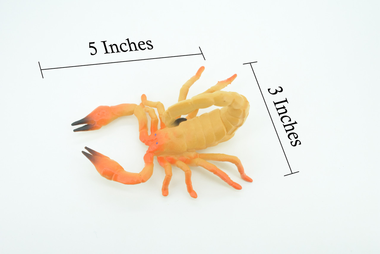 Scorpion, Scorpios, Hand Painted, Rubber arachnid, Educational, Realistic Figure, Lifelike Model,  5 Inches Long, 3 inches Tall.