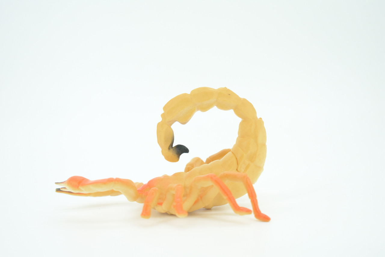 Scorpion, Scorpios, Hand Painted, Rubber arachnid, Educational, Realistic Figure, Lifelike Model, Gift,   5"    AR23 B329
