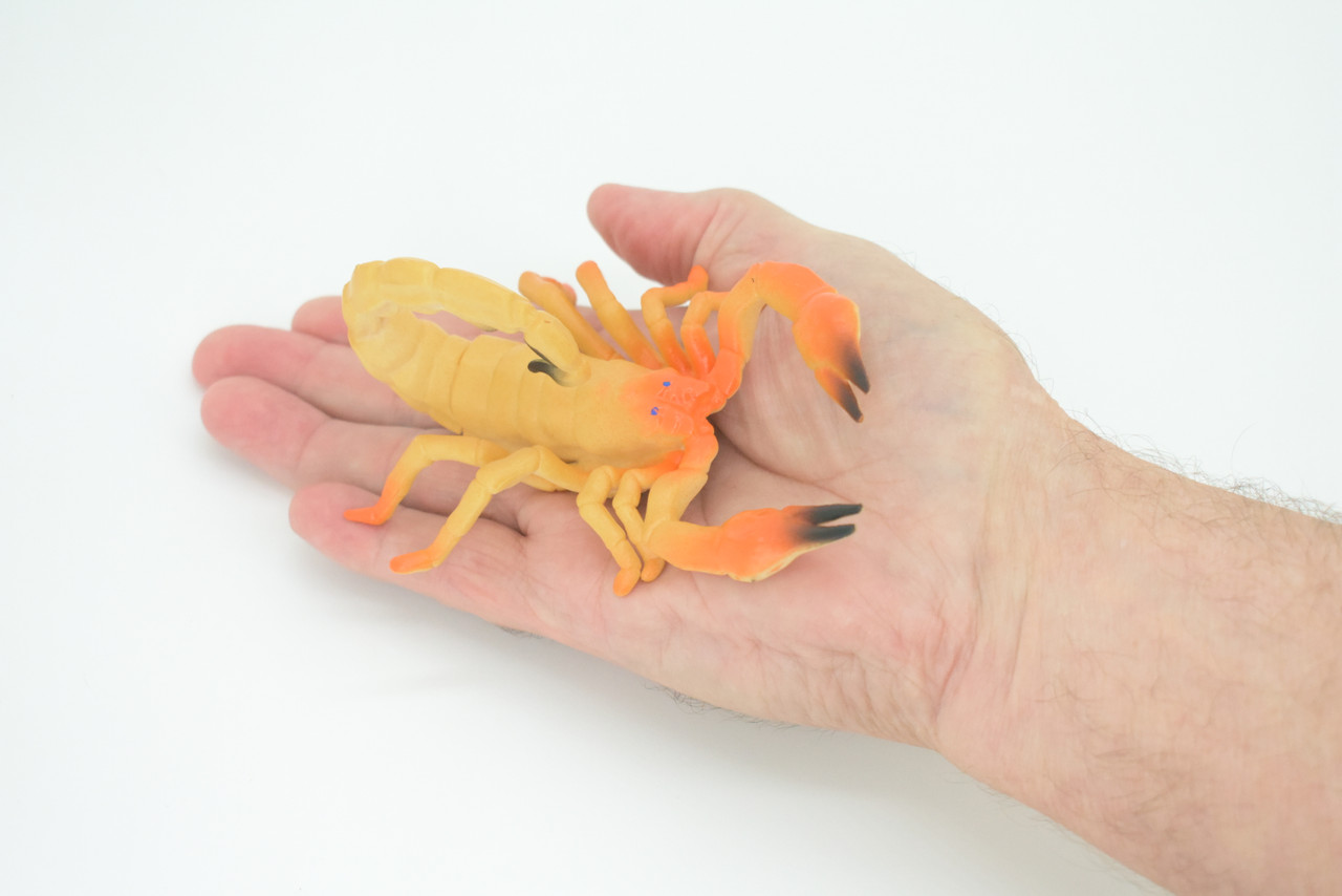 Scorpion, Scorpios, Hand Painted, Rubber arachnid, Educational, Realistic Figure, Lifelike Model,  5 Inches Long, 3 inches Tall.