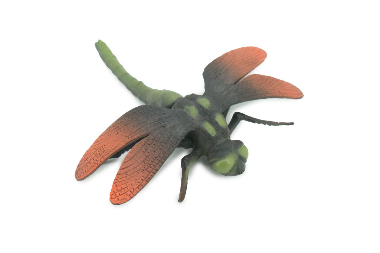 Dragonfly, Green and Red, Emerald Dragonflies, Hand Painted, Rubber Insect, Educational, Realistic Figure, Lifelike Model, 5 Inches.