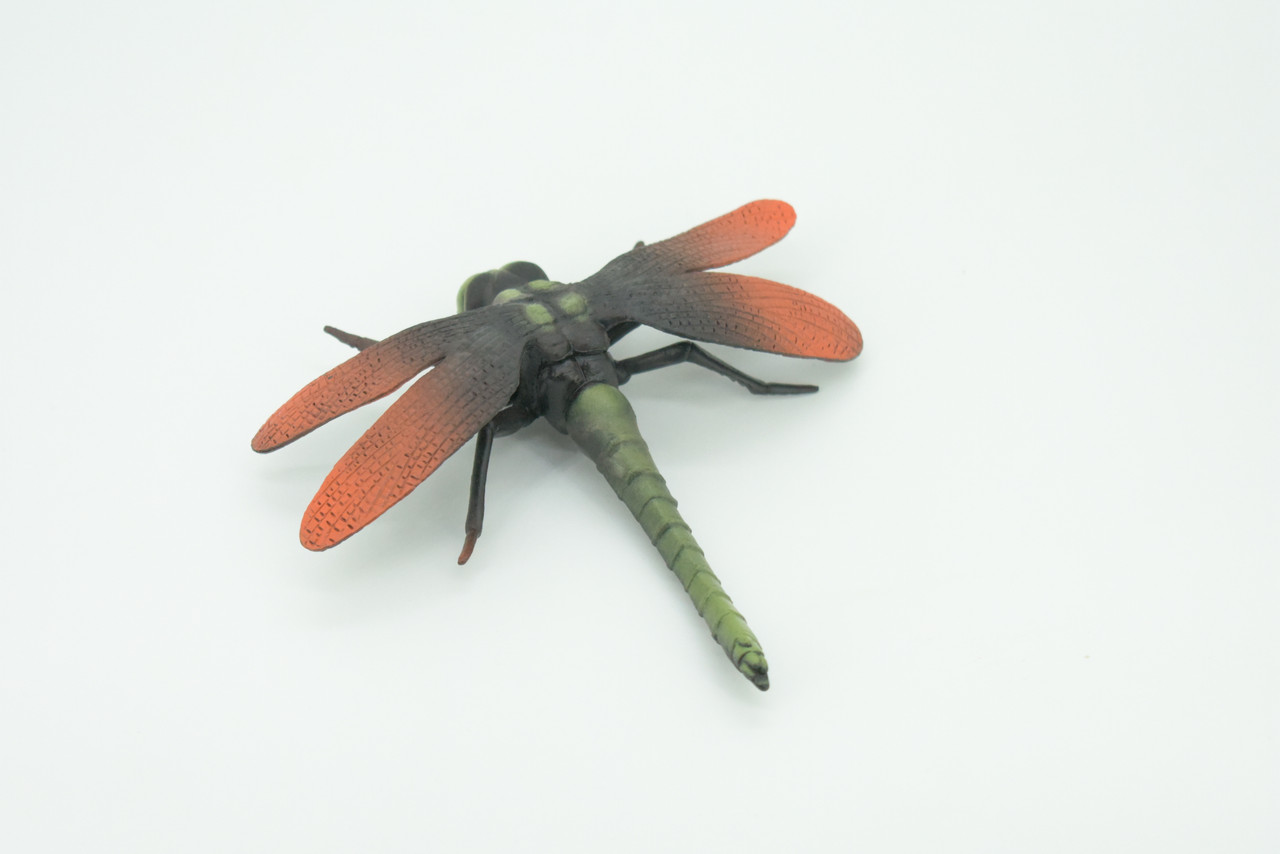 Dragonfly, Green and Red, Emerald Dragonflies, Hand Painted, Rubber Insect, Educational, Realistic Figure, Lifelike Model, Gift,   5"  AR24 B329