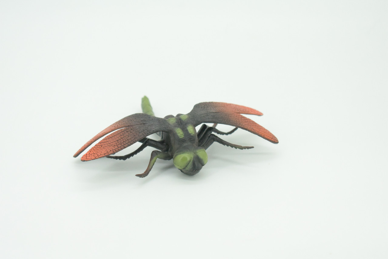 Dragonfly, Green and Red, Emerald Dragonflies, Hand Painted, Rubber Insect, Educational, Realistic Figure, Lifelike Model, Gift,   5"  AR24 B329
