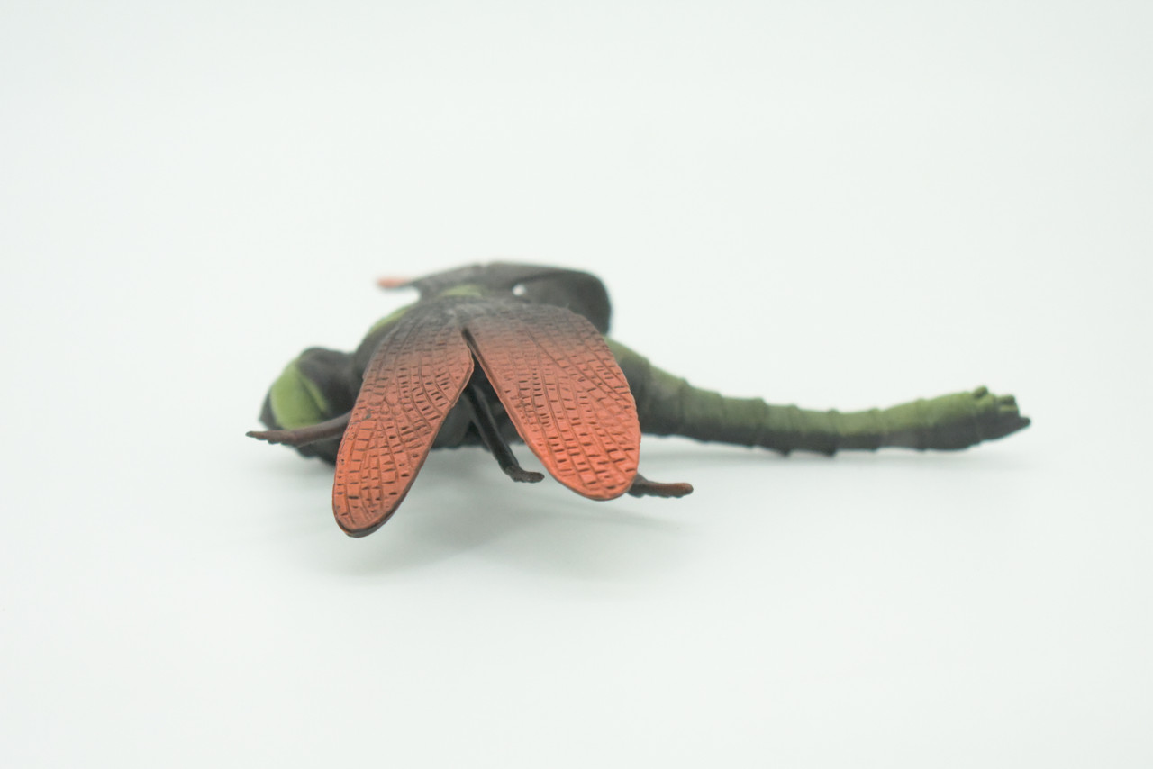 Dragonfly, Green and Red, Emerald Dragonflies, Hand Painted, Rubber Insect, Educational, Realistic Figure, Lifelike Model, Gift,   5"  AR24 B329